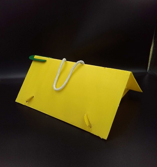 Pheromone Traps