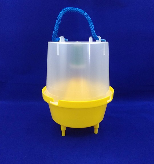 McPhail Trap
