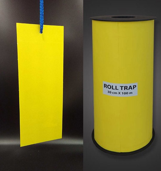 Sticky Traps